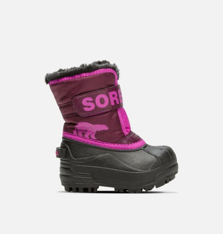 Kids Snow Boots Purple/Pink/Black - Sorel Toddler Commander™ - 836210-GQI